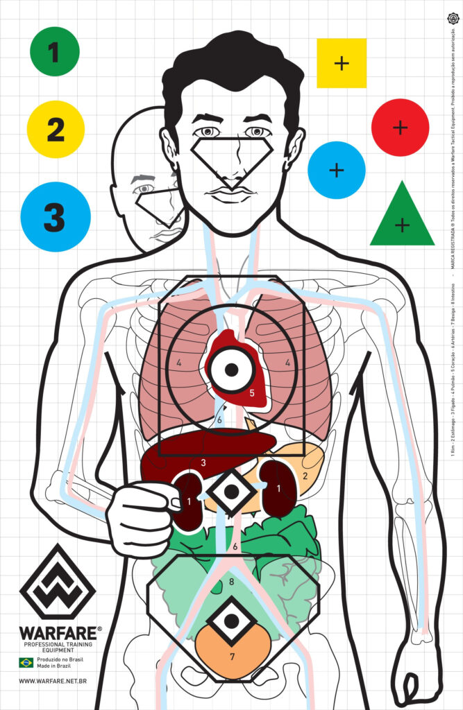 Alvos Para Treino Múltiplo